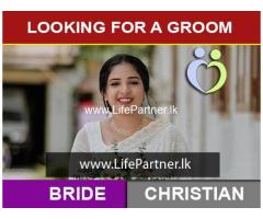Looking For a Groom