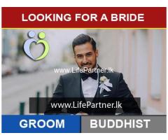 Looking For a Bride