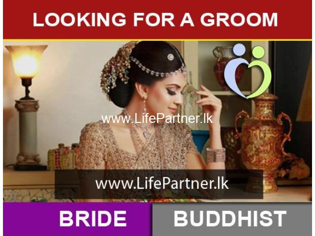Looking For a Groom