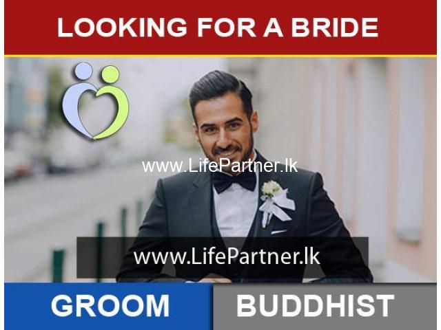 Looking For a Bride