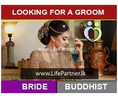 Looking For a Groom
