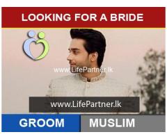 Looking For a Bride