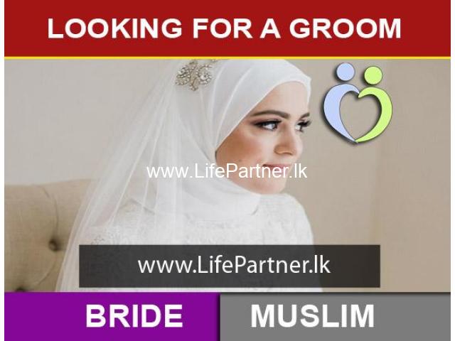Looking for a Groom